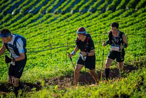 BIB: 7375
                            <button type="button" onclick="openModal(19160346)" class="btn btn-primary btn-sm float-right btn-popup" data-toggle="modal" data-target=".modal-high-quality">
                        <i class="fas fa-shopping-cart"></i> Add to Cart
                    </button>
                                            <button type="button" onclick="isThisMe(19160346, true)" class="btn btn-success btn-sm float-right btn-popup btn-isme hidden" data-toggle="tooltip" data-placement="bottom" title="นี่คือรูปของคุณใช่ไหม คลิกที่นี่เพื่อเอาเข้าอัลบั้ม">
                        <i class="fas fa-plus"></i> Add to album
                    </button>
                    <button type="button" onclick="isThisMe(19160346, false)" class="btn btn-warning btn-sm float-right btn-popup btn-isnotme hidden">
                        <i class="fas fa-ban"></i> Remove from album
                    </button>